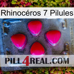 Rhinocéros 7 Pilules 13